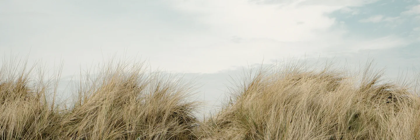 Dune grass against a wide, pale sky.